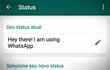 Versão beta do WhatsApp volta ao status antigo (Foto: EBC)